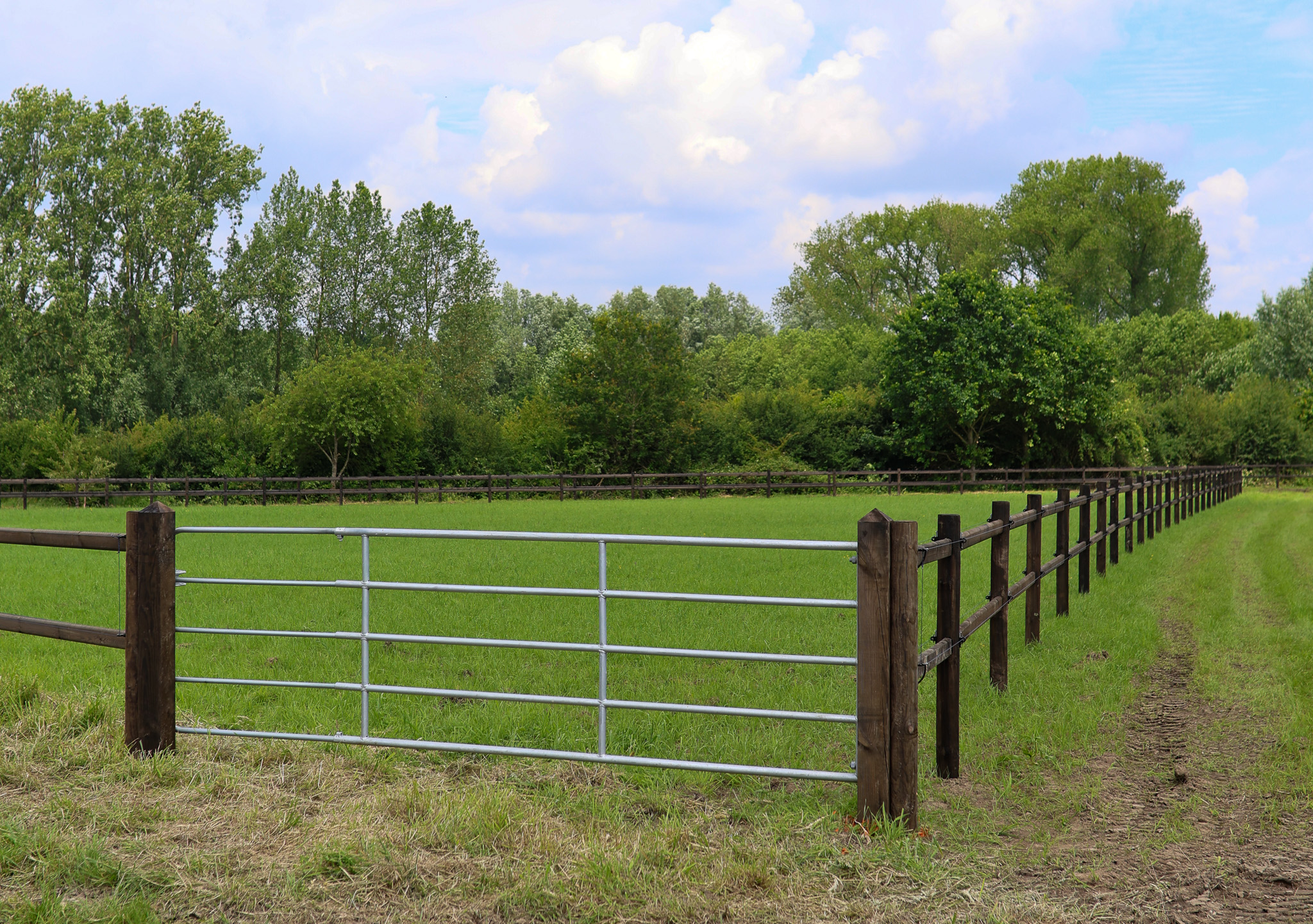 losse ijzeren weidepoort paardenomheining Chevaldo Omheiningen